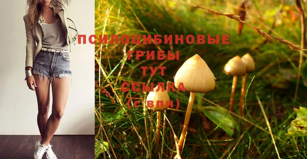 хмурый Зеленодольск