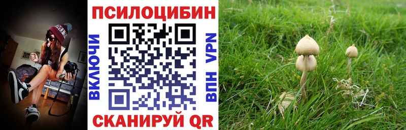 Купить  Вязьма  Галлюциногенные грибы ЛСД 